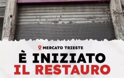 Mercato Trieste: al via il grande restyling firmato Mercati d’Autore